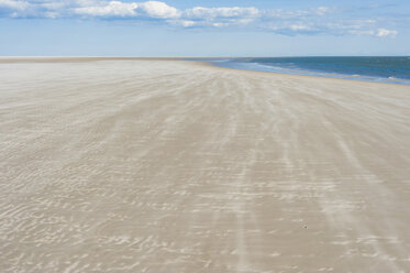 Dänemark, Romo, Sanddünen an der Nordsee - MJF000258