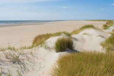 Denmark, Romo, Sand dunes at North Sea - MJF000266