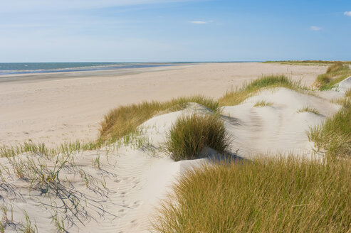 Dänemark, Romo, Sanddünen an der Nordsee - MJF000266