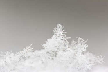 Germany, Hesse, Crystals of snowflakes, close up - SR000303