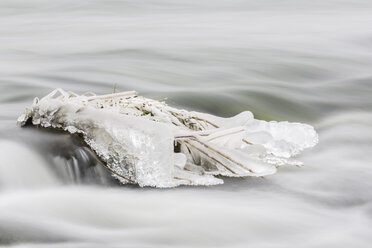 Deutschland, Hessen, Eis am Stiel im Fluss - SR000311