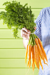 Älterer Mann hält ein Bündel Karotten vor grünem Hintergrund, Nahaufnahme - MAEF006882
