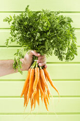 Mature man holding bunch of carrots against green background, close up - MAEF006881