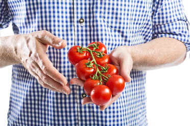 Älterer Mann hält einen Strauß Tomaten, Nahaufnahme - MAEF006875