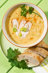 Schüssel Suppe mit Karotten, Frühlingszwiebeln, Kohl und Brot auf dem Teller - MAEF006846