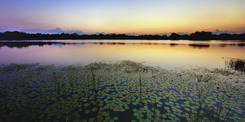 USA, Florida, Maitland, View of Lake Destiny at sunset - SMAF000141