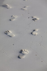 Asia, Maldives, Footprints in sand - AMF000598