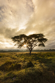 Afrika,Kenia,Blick auf den Lake Nakuru National Park - AMF000609