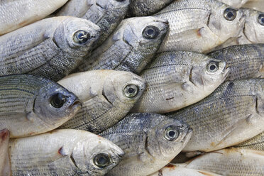 Türkei, Fisch zum Verkauf auf dem Fischmarkt - SIEF004042