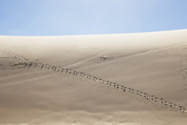 New Zealand, Footprints on Te Paki Sand Dunes - GW002292