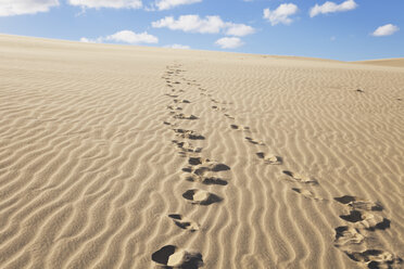 New Zealand, Footprints on Te Paki Sand Dunes - GW002295