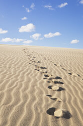 New Zealand, Footprints on Te Paki Sand Dunes - GW002297