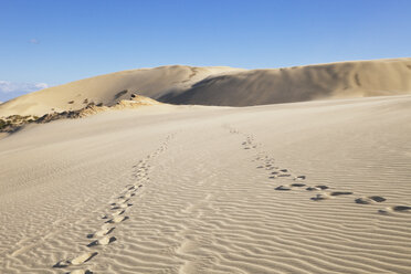 New Zealand, Footprints on Te Paki Sand Dunes - GW002298