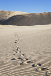 New Zealand, Footprints on Te Paki Sand Dunes - GW002299