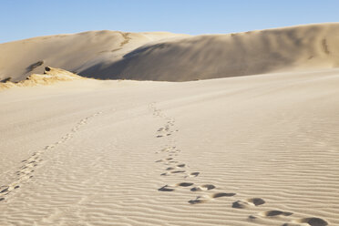 New Zealand, Footprints on Te Paki Sand Dunes - GW002300