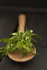 Rosemary on wooden spoon, close up - OD000162