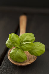 Basil on wooden spoon, close up - OD000163