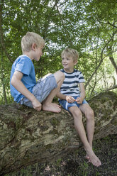 Germany, Bavaria, two boys sitting on a tree in the urban forest - NH001412