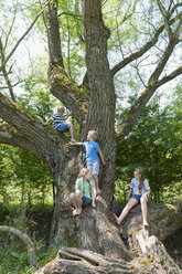 Deutschland, Bayern, vier Kinder sitzen auf einem Baum - NH001374