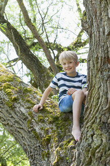 Deutschland, Bayern, lächelnder Junge auf einem Baum sitzend - NH001415