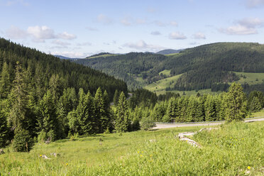 Deutschland, Baden Württemberg, Blick auf den Schwarzwald - MAB000123