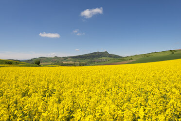 Deutschland, Baden Württemberg, Blick auf gelbes Rapsfeld - ELF000211