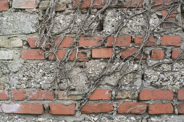 Italy, Construction of house wall with brick - CRF002430