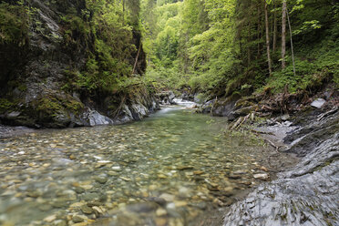 Österreich, Steiermark, Blick auf das Ennstal - GFF000082