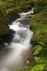 Austria, Lower Austria, View of waterfall - GFF000101