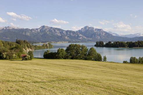 Deutschland, Bayern, Blick auf idyllische Landschaft am Forggensee - SKF001348