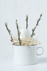 Easter egg in cup with willow catkins, close up - ASF005013