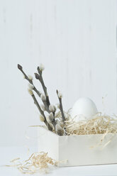 Easter egg with willow catkins, close up - ASF005011