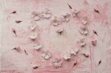 Herzförmige Form mit rosa Kirschblüte, Nahaufnahme - ASF005025