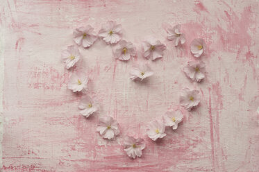 Herzförmige Form mit rosa Kirschblüte, Nahaufnahme - ASF005035