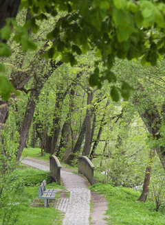 Deutschland, Bayern, Regensburg, Ansicht eines Parks mit Holzbrücke - WWF002907