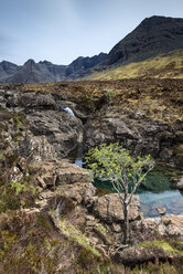 Vereinigtes Königreich, Schottland, Blick auf den Fluss Brittle am Fairy Pool in der Nähe der Black Cuillin Hills - ELF000264