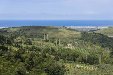 Turkey, View of cultivated land of Kusadasi - SIE004096