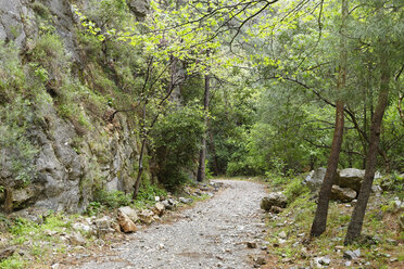 Türkei, Dilek-Wald-Nationalpark - SIE004079