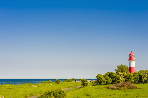 Deutschland, Schleswig Holstein, Blick auf Leuchtturm im Naturschutzgebiet Geltinger Birk, lizenzfreies Stockfoto