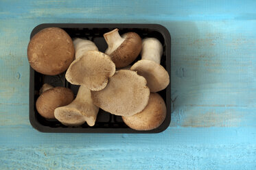 Austernpilze und braune Champignons in einem Plastikbehälter auf dem Tisch - OD000226