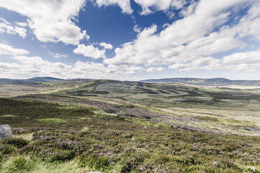 Großbritannien, Schottland, Landschaft in Perthshire - SBDF000191