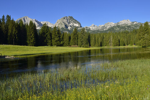 Montenegro, Blick auf den Otoka-Fluss im Durmitor-Nationalpark - ES000442