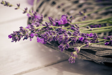 Korb mit Lavendelblüten auf Holztisch, Nahaufnahme - SARF000058