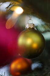 Christmas bauble hanging on tree, close up - LB000110