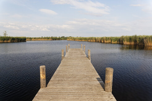 Österreich, Burgenland, Dock im Rost am Neusiedler See - GF000150