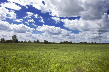 Deutschland, Nordrhein-Westfalen, Düsseldorf, Feld und Himmel bei Kaiserswerth - MFF000625