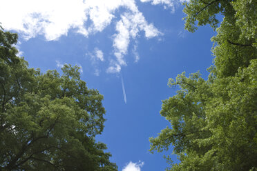 Germany, North Rhine-Westphalia, Dusseldorf, Plane in the sky - MFF000626