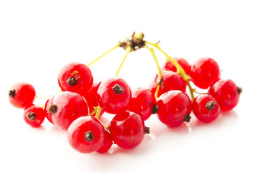 Red currants with shrubs on white background, close up - MAEF006944