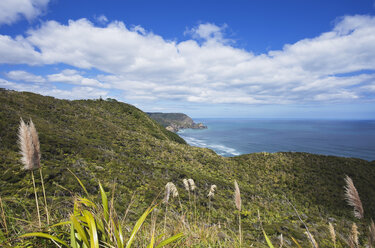 Neuseeland, Blick auf Piha Beach mit Lion Rock, Nun Rock und Westküste - GWF002325