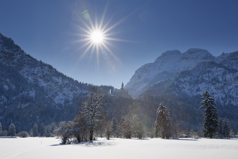 Deutschland, Bayern, Blick auf Schloss Neuschwanstein - SIEF004126